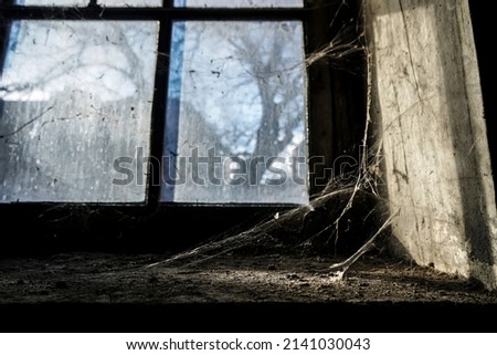 a messy timber window with a spider web, indoor macro shot. spider web on the old dirty window in the morning. sunny day. 