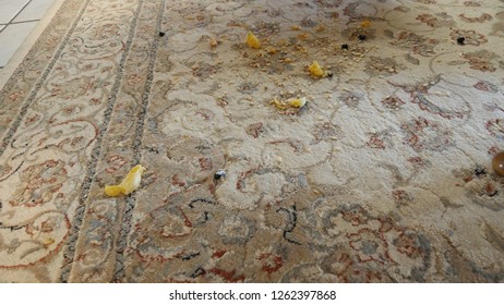 Messy Under Table Stock Photo 1262397868 | Shutterstock