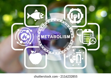 Metabolism Medical Concept. Diet Nutrition Immunity Human Health. Human Comprehensibility Metabolic Syndrome.