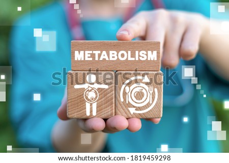 Metabolism Medical Concept. Diet Nutrition Immunity Human Health.