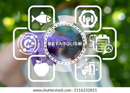 Metabolism Medical Concept. Diet Nutrition Immunity Human Health. Human Comprehensibility Metabolic Syndrome.