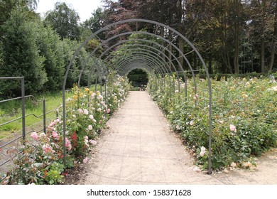 Rose Arch Tunnel Images Stock Photos Vectors Shutterstock