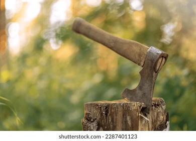 A metal axe with a wooden handle is stuck into a stump in the forest.Chop firewood in summer.Stick the hatchet in. Collecting firewood to light a fire. - Powered by Shutterstock