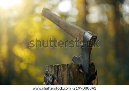 A metal axe with a wooden handle, stuck in a wooden log against the background of the sun rays in the forest. Chop wood.Deforestation.