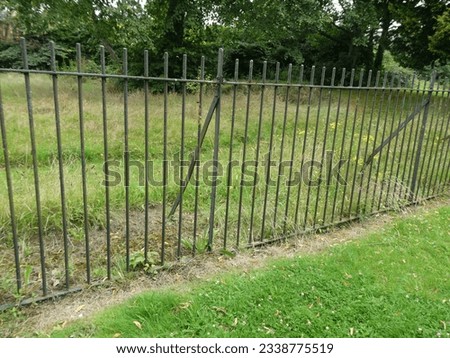 Metal bar fence with wild flowers and bushes creeping through