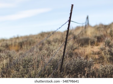 10,910 Sage brush Images, Stock Photos & Vectors | Shutterstock