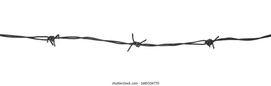 Metal barbed wire isolated on white background close-up. - Shutterstock ID 1685534770