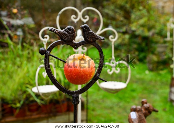 Metal Bird Feeder Apple Shape Heart Stock Photo Edit Now 1046241988