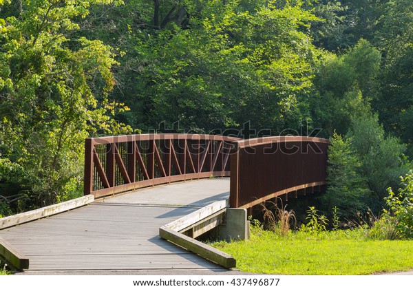 Metal bridge in the\
forest.