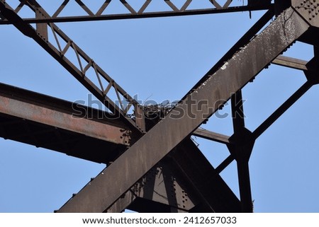 Metal Bridge on the Caney River Tennessee    