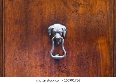 A Metal Dog Head Knocker On A Wooden Door