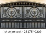 Metal door. Forged element, vintage fence. ornate wrought-iron elements of metal gate decoration. Gate with decorative forged elements. metal fences