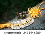 A metal dragon figurine and Chinese coins. Amulets and talismans.