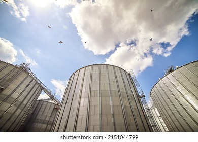Metal elevator (grain silo) in agriculture zone. Grain Warehouse or depository is an important part of harvesting. Сorn, wheat and other crops are stored in it