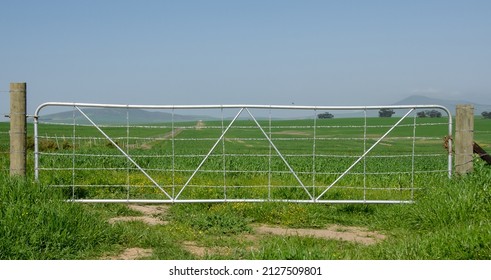 Metal Farm Gate On A Farm