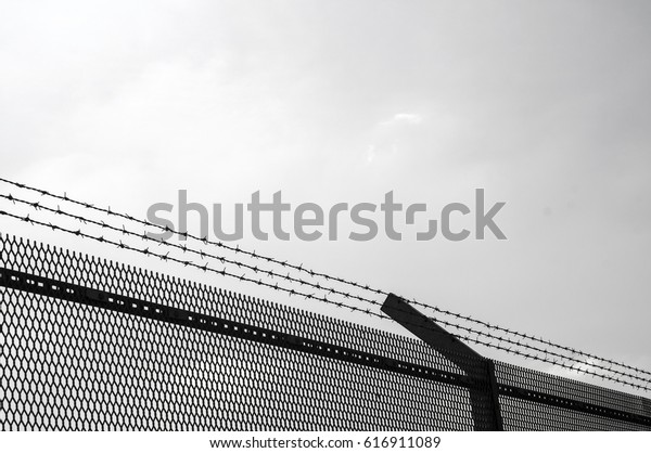 Metal fence high\
security with barbed razor\
