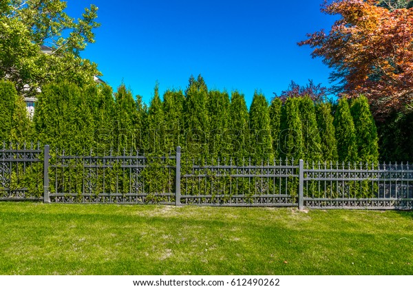 Metal fence with nicely trimmed bushes behind,\
dividing the street and private property. Keeps privacy and\
security. Landscape\
design.