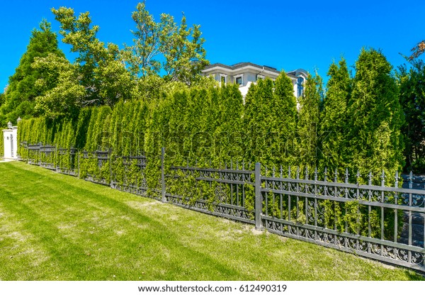 Metal fence with nicely trimmed bushes behind,\
dividing the street and private property. Keeps privacy and\
security. Landscape\
design.