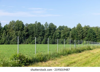 Metal fences for animal protection, an iron fence near the expressway to restrict the exit of animals to the roadway - Shutterstock ID 2195019487