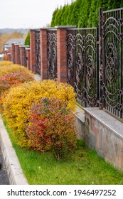 Metal Fencing With A Living Fence Of Shrubs And Trees Near The House