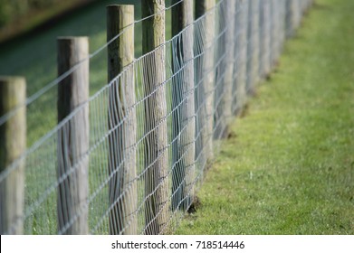 Metal Fencing With Wooden Posts And Grass