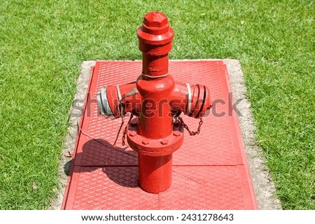 Metal fire hydrant colred in red with fresh green meadow in a public park