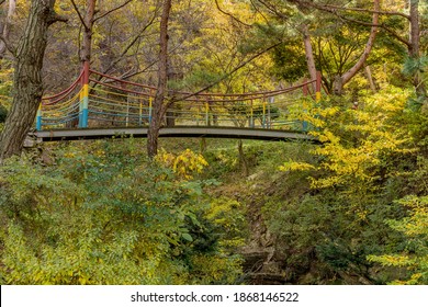 Metal Footbridge Over Ravine In Mountain Forest.