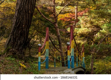 Metal Footbridge Over Ravine In Mountain Forest.