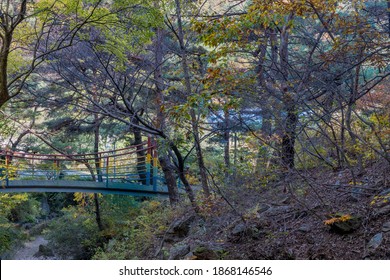 Metal Footbridge Over Ravine In Mountain Forest.