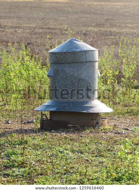 Metal Game Bird Feeder Stock Photo Edit Now 1259616460