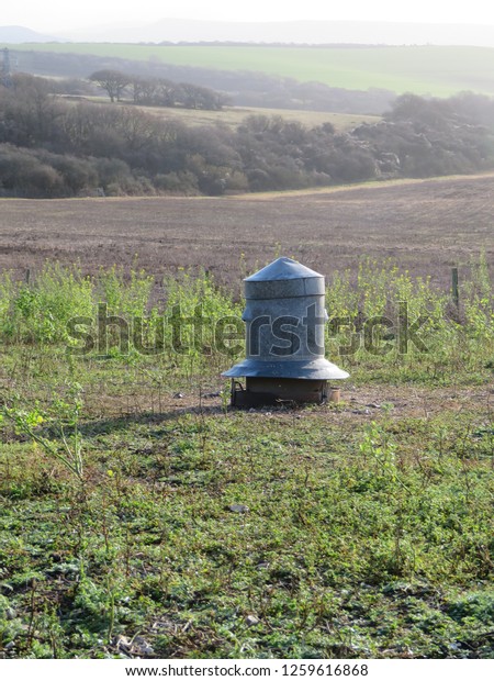 Metal Game Bird Feeder Stock Photo Edit Now 1259616868