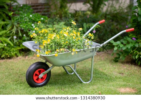 Metal garden cart filled with tree branches. 