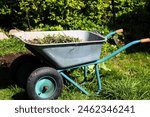 metal garden wheelbarrow full of weeds after cleaning the garden