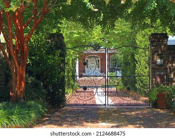 Metal gate entrance to sunlit driveway pathway at a house residence with crepe myrtle trees and greenery and a brick wall.