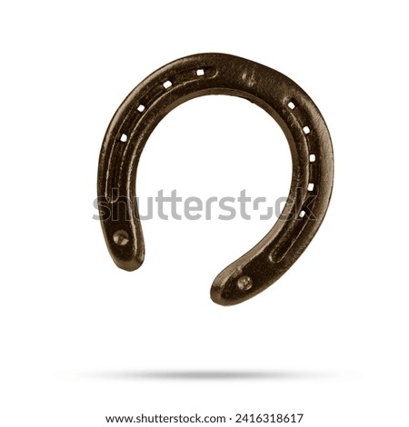 Metal horseshoe isolated on white background.