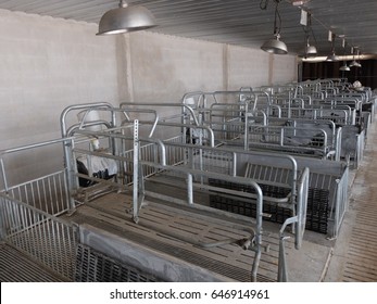 Metal Pig Sty In Pig Farm