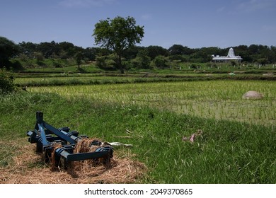 Metal plow covered with hay next to rice fields and with a temple in the background in South India 