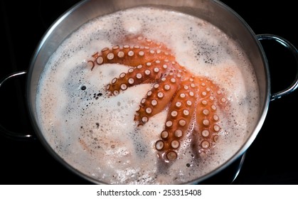 3,434 Octopus pot Images, Stock Photos & Vectors | Shutterstock