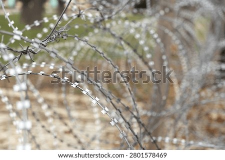 Metal razor wire forms a protective coil in a perimeter fence, providing a harsh visual metaphor for safety, territorial control, immigration challenges and strict security measures