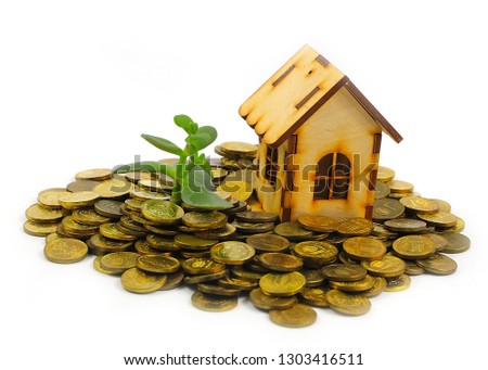 metal rubles with a green money tree sprout and a wooden house