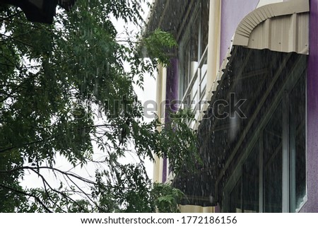 Similar – side street Tree Town