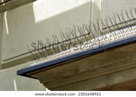 metal spike anti-roosting or bird prevention and repellent strip. bird control. old exterior stucco elevation detail. sharp needles. old European building detail and architecture. pigeon prevention
