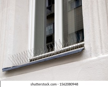 Metal (steel) bird spikes on the windowsill. Reliable protection against birds, especially pigeons. Anti bird wire.