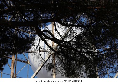 Metal structure of the disused gasometer in Rome, in the center the installation of a large white ball that resembles the moon, pine tree branches in the foreground. - Powered by Shutterstock