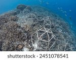 Metal structures have been put on the seafloor as a coral reef restoration project in Raja Ampat, Indonesia. The structures are supposed to give coral a hard substrate on which to grow.