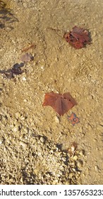 Metal Texas Sculpture In Stream