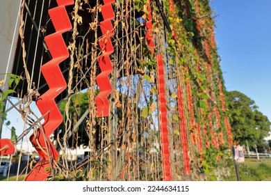 Metal trellis on the proscenium of the performance stage at Munro Martin Parklands intended to provide support for the growth of attached climbing vines. Cairns downtown area-Queensland-Australia.