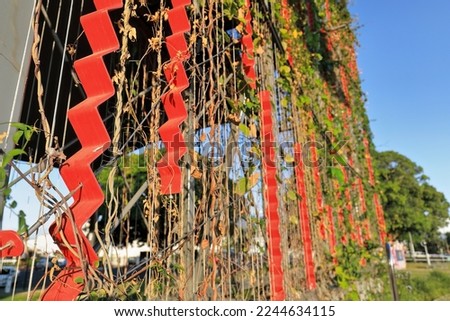 Metal trellis on the proscenium of the performance stage at Munro Martin Parklands intended to provide support for the growth of attached climbing vines. Cairns downtown area-Queensland-Australia.