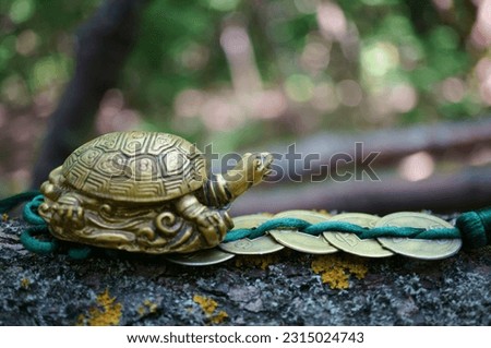A metal turtle with Chinese coins. The feng shui symbol. Attracting good luck and money.