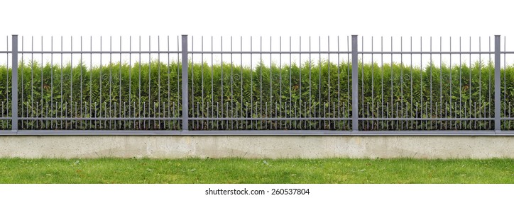 Metal village mass production  long gray fence  isolated panorama collage. Behind the fence is growing evergreen hedge of Thuja tree.